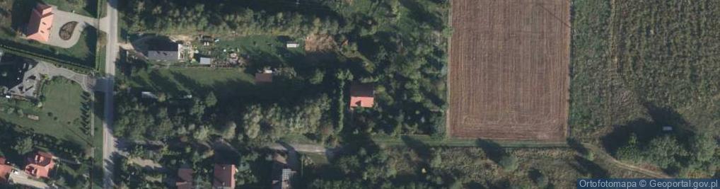 Zdjęcie satelitarne Wielkopolska ul.