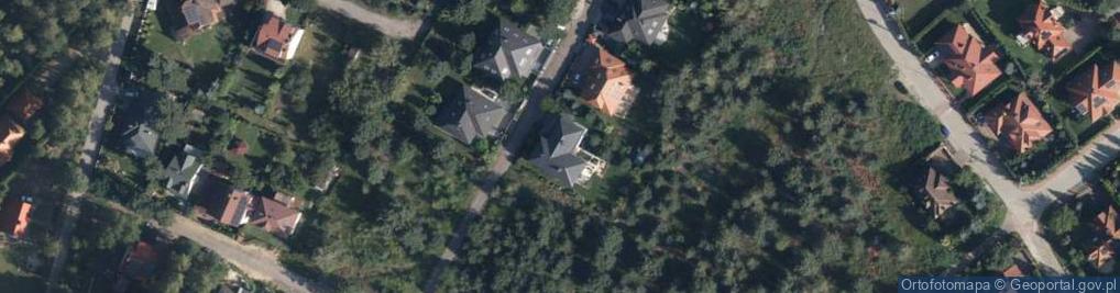 Zdjęcie satelitarne Willowa ul.
