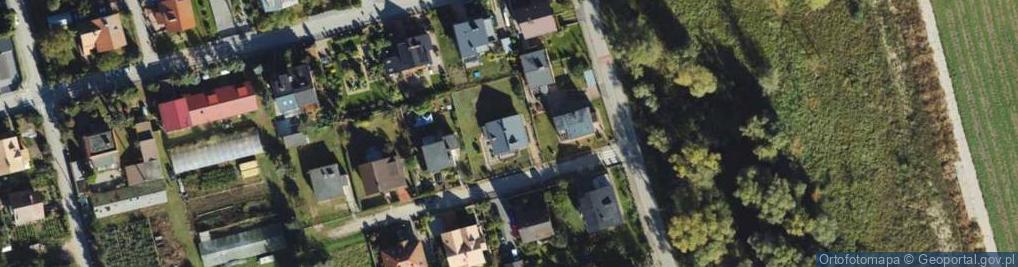 Zdjęcie satelitarne Wierzbowa ul.