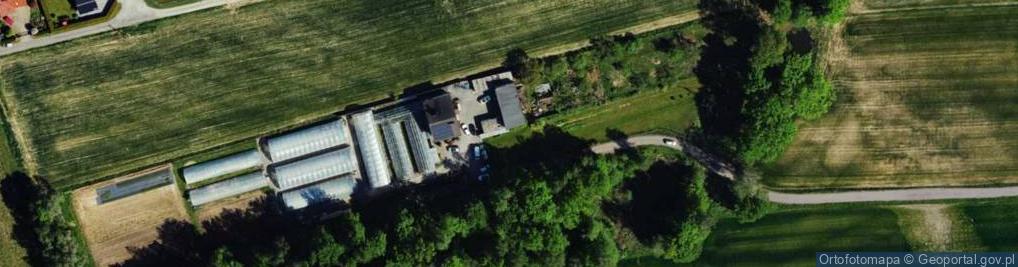Zdjęcie satelitarne Wilcza ul.