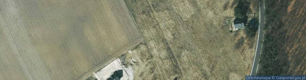 Zdjęcie satelitarne Willowa ul.