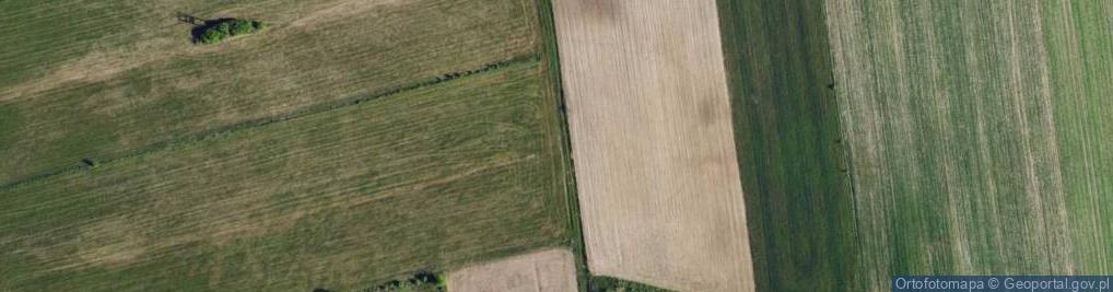 Zdjęcie satelitarne Wiejska ul.