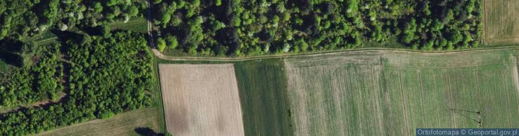 Zdjęcie satelitarne Wiejska ul.