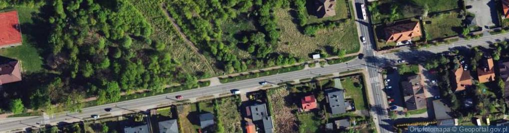 Zdjęcie satelitarne Wielkoborska ul.