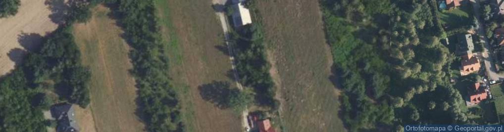 Zdjęcie satelitarne Wierzbowa ul.