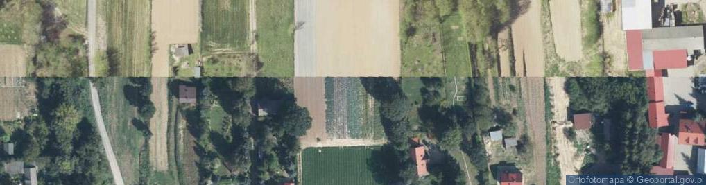 Zdjęcie satelitarne Wierzbowa ul.