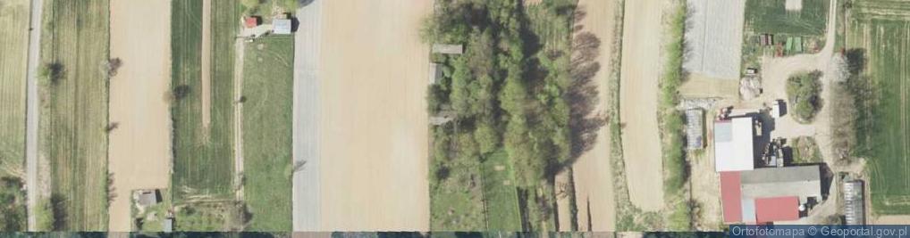 Zdjęcie satelitarne Wierzbowa ul.