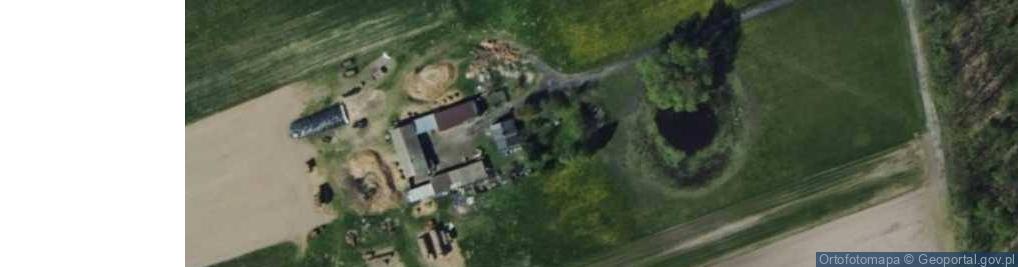 Zdjęcie satelitarne Witawa ul.