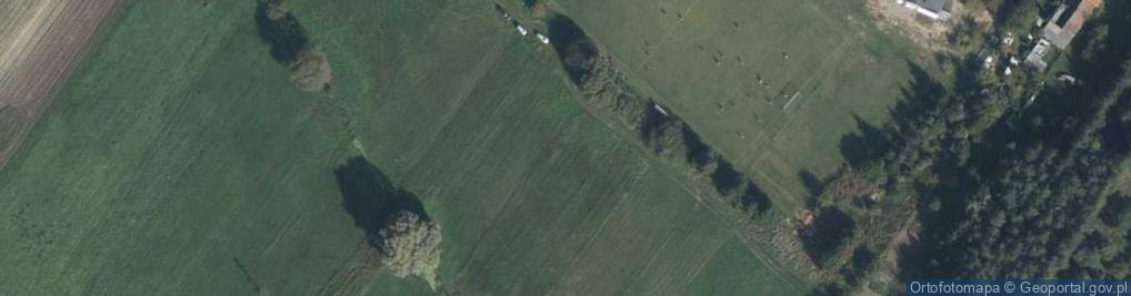 Zdjęcie satelitarne Wierzbowa ul.