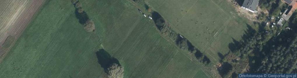 Zdjęcie satelitarne Wierzbowa ul.