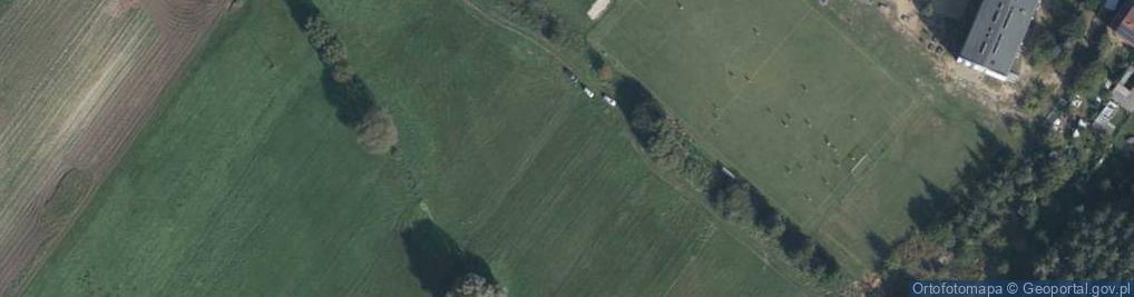 Zdjęcie satelitarne Wierzbowa ul.