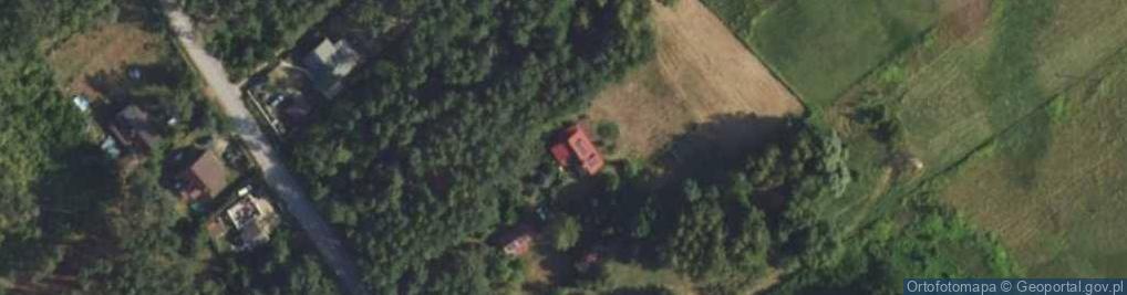 Zdjęcie satelitarne Wierzbowa ul.