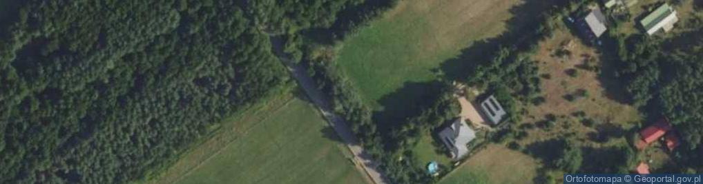 Zdjęcie satelitarne Wierzbowa ul.