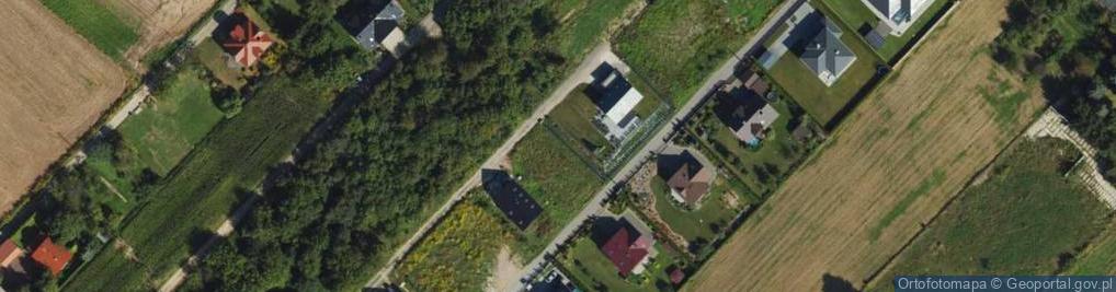 Zdjęcie satelitarne Willowa ul.