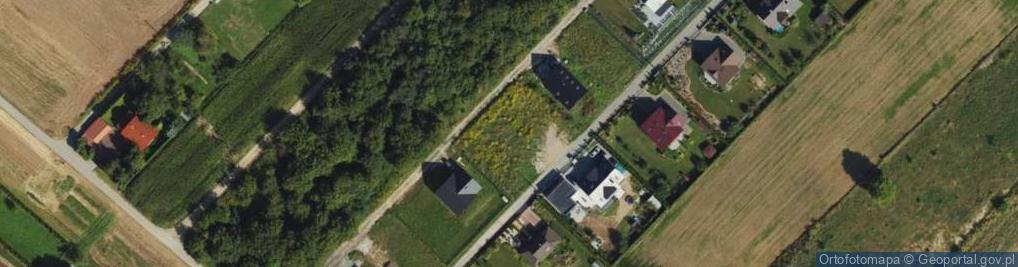 Zdjęcie satelitarne Willowa ul.