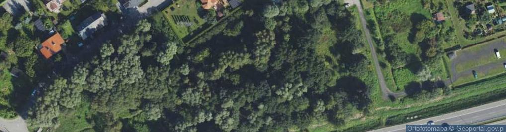 Zdjęcie satelitarne Wierzbowa ul.