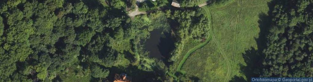 Zdjęcie satelitarne Witkiewicza Stanisława Ignacego ul.