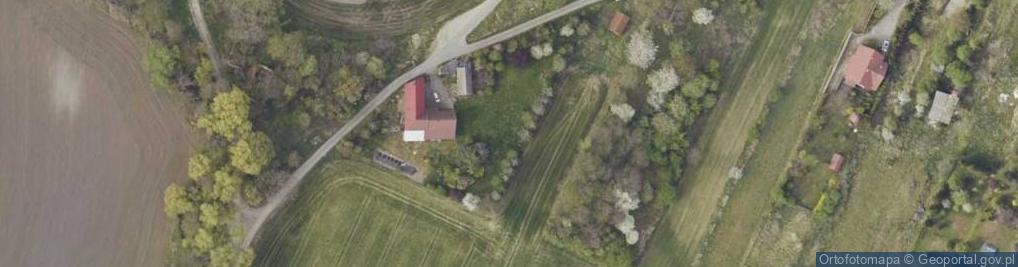 Zdjęcie satelitarne Widokowa ul.