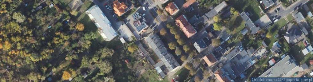 Zdjęcie satelitarne Witkowska ul.
