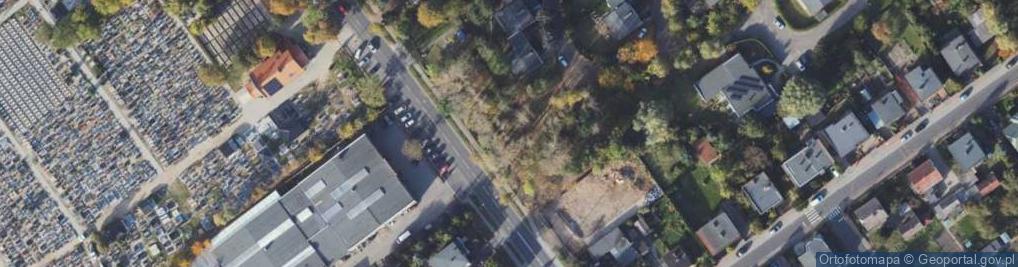 Zdjęcie satelitarne Witkowska ul.