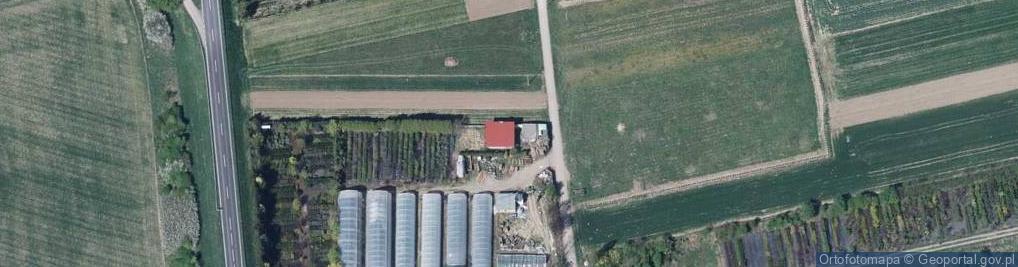 Zdjęcie satelitarne Wiśniowa ul.