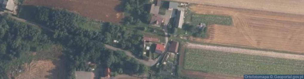 Zdjęcie satelitarne Wierzbowa ul.
