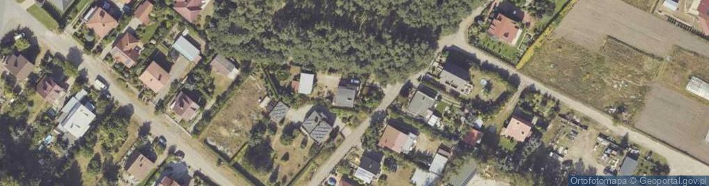 Zdjęcie satelitarne Wierzbowa ul.