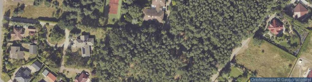Zdjęcie satelitarne Wierzbowa ul.