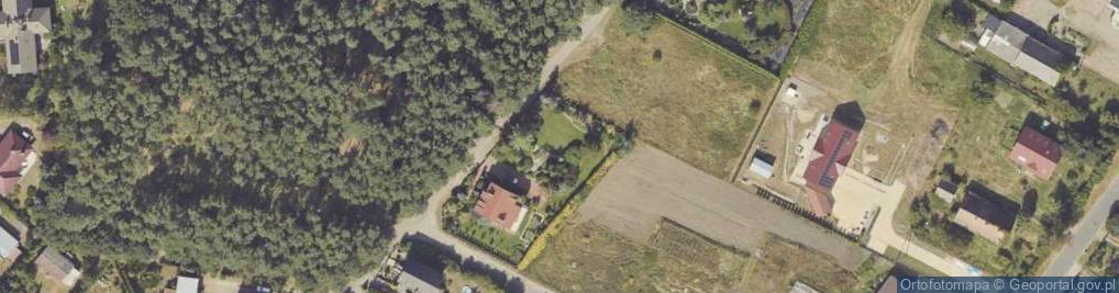 Zdjęcie satelitarne Wierzbowa ul.