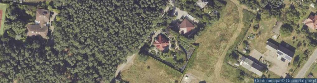 Zdjęcie satelitarne Wierzbowa ul.