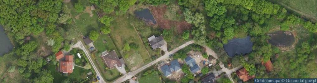 Zdjęcie satelitarne Willowa ul.