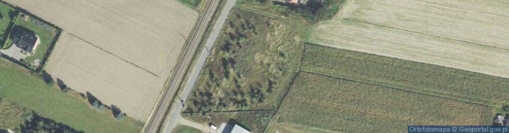 Zdjęcie satelitarne Wiejska ul.