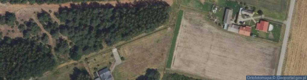 Zdjęcie satelitarne Wierzbowa ul.