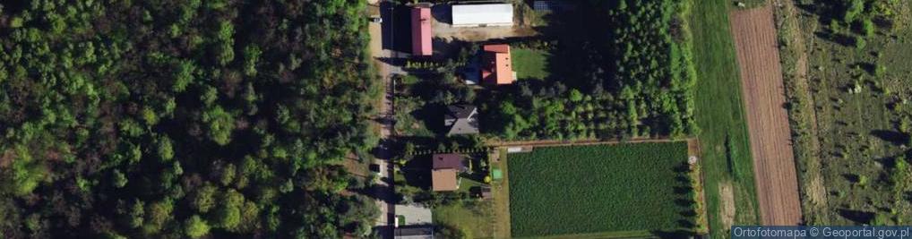 Zdjęcie satelitarne Willowa ul.