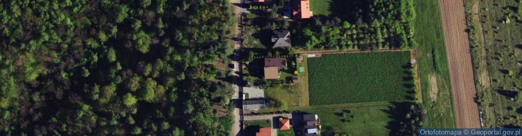 Zdjęcie satelitarne Willowa ul.