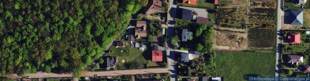 Zdjęcie satelitarne Willowa ul.