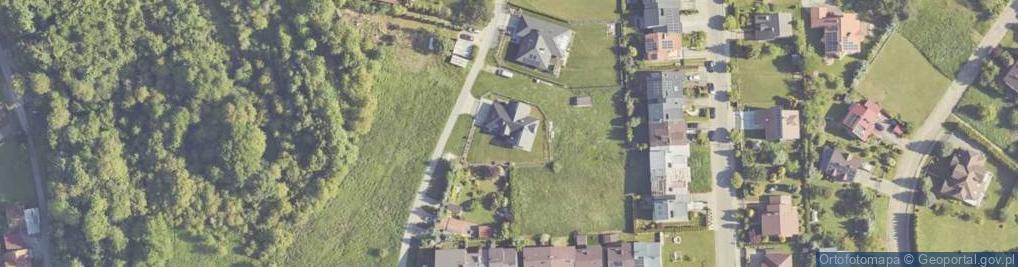 Zdjęcie satelitarne Witosa Wincentego ul.