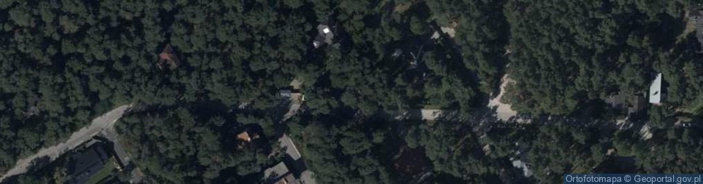 Zdjęcie satelitarne Wilsona Thomasa Woodrowa ul.