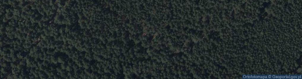 Zdjęcie satelitarne Wiejska ul.