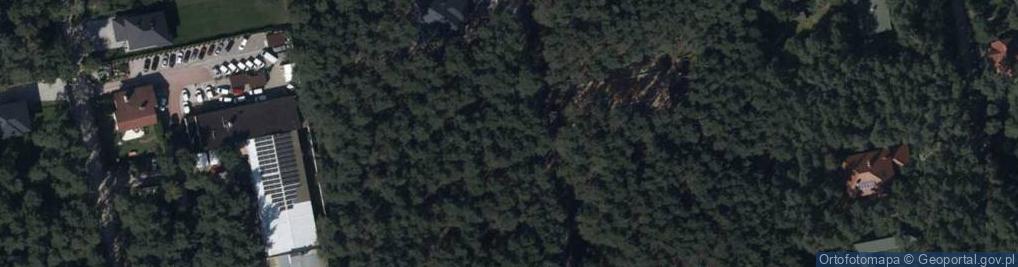 Zdjęcie satelitarne Wilcza ul.