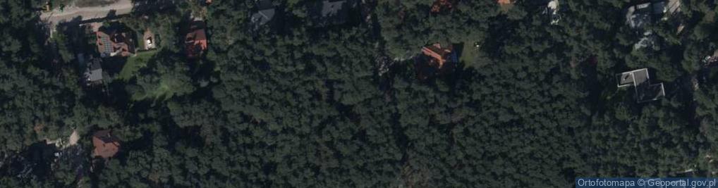 Zdjęcie satelitarne Wilcza ul.