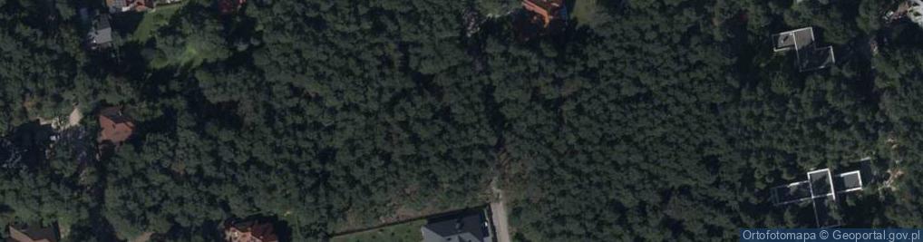 Zdjęcie satelitarne Wilcza ul.