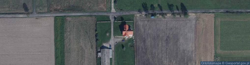 Zdjęcie satelitarne Wierzbowa ul.