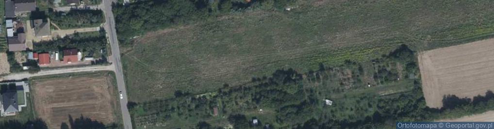 Zdjęcie satelitarne Winogronowa ul.