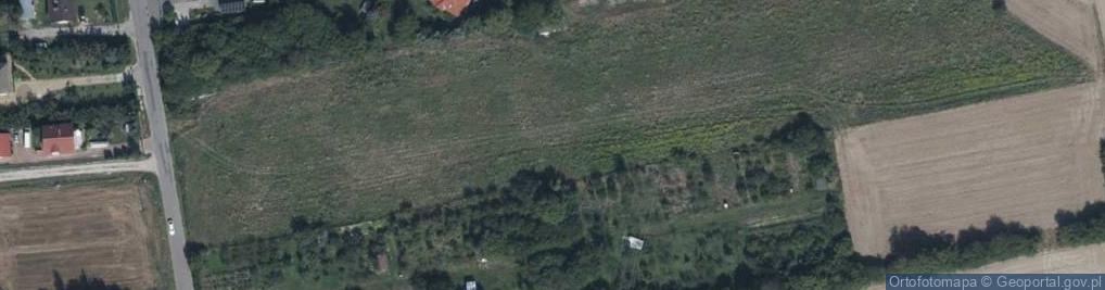 Zdjęcie satelitarne Winogronowa ul.