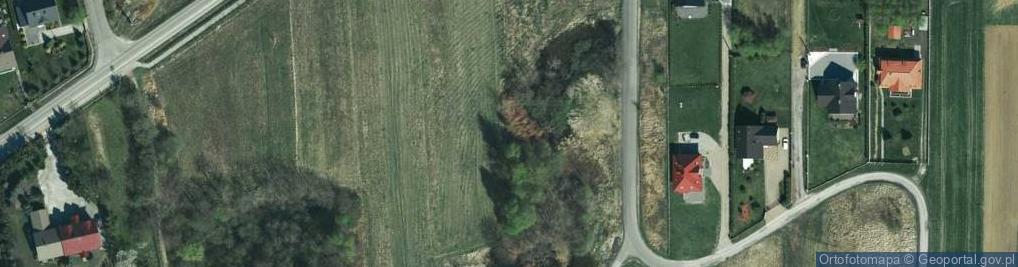 Zdjęcie satelitarne Willowa ul.