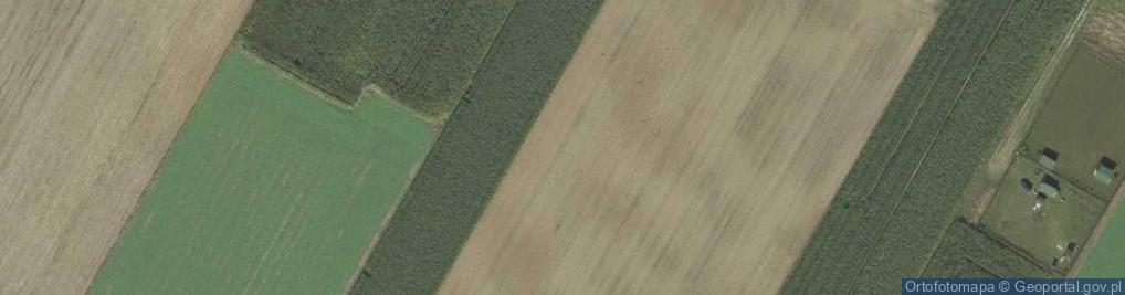 Zdjęcie satelitarne Wierzbowa ul.