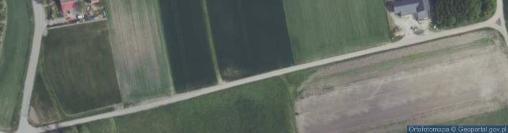 Zdjęcie satelitarne Wiejska ul.