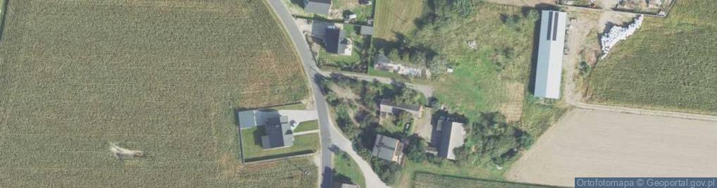 Zdjęcie satelitarne Wierzbowa ul.