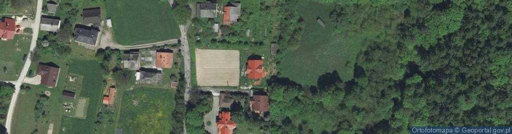 Zdjęcie satelitarne Willowa ul.